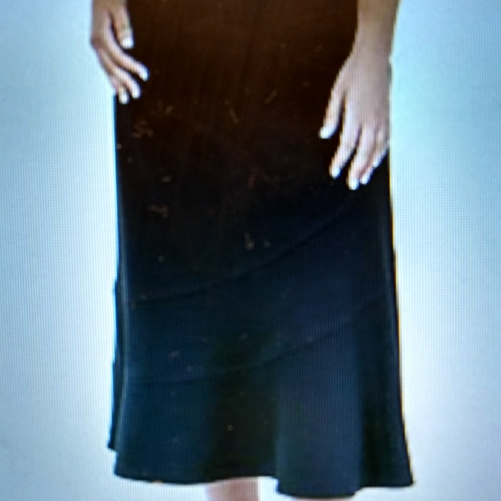 Brand New Ny Collection Skirt